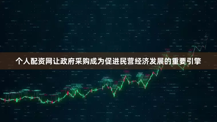 个人配资网让政府采购成为促进民营经济发展的重要引擎