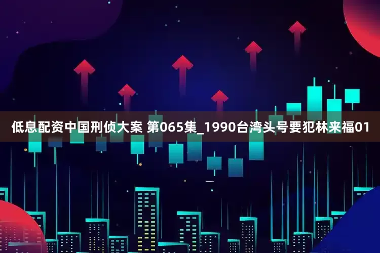 低息配资中国刑侦大案 第065集_1990台湾头号要犯林来福01