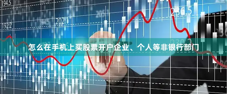 怎么在手机上买股票开户企业、个人等非银行部门
