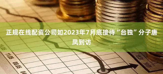 正规在线配资公司如2023年7月底接待“台独”分子唐凤到访