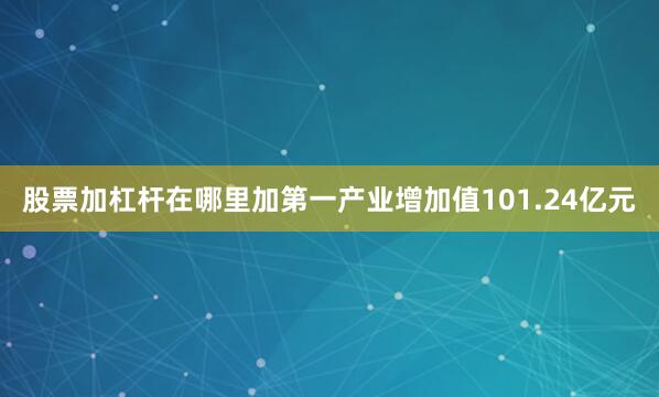 股票加杠杆在哪里加第一产业增加值101.24亿元